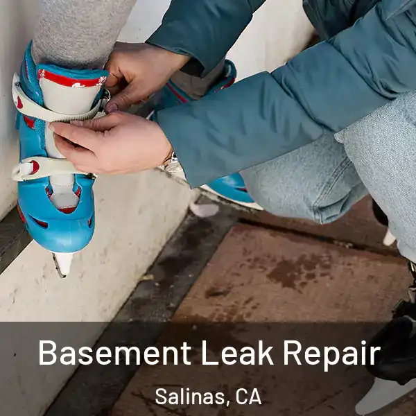  Basement Leak Repair Salinas, CA