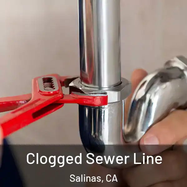  Clogged Sewer Line Salinas, CA