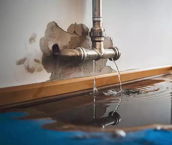 Professional Water Damage Restoration Experts in Salinas, CA — Fast, Reliable & Certified