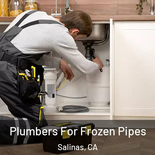  Plumbers For Frozen Pipes Salinas, CA