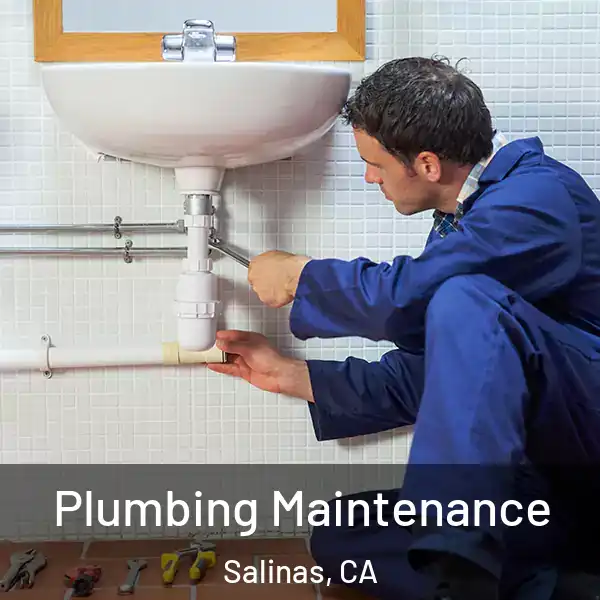  Plumbing Maintenance Salinas, CA