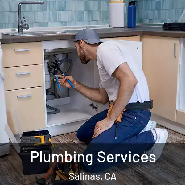  Plumbing Services Salinas, CA