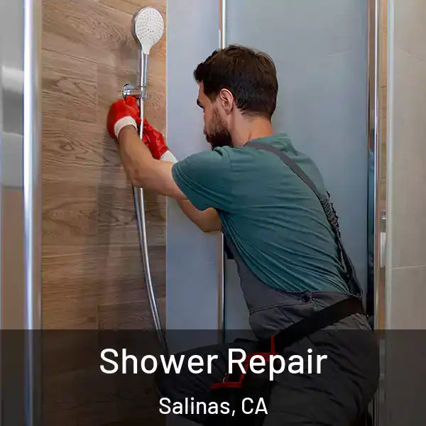  Shower Repair Salinas, CA