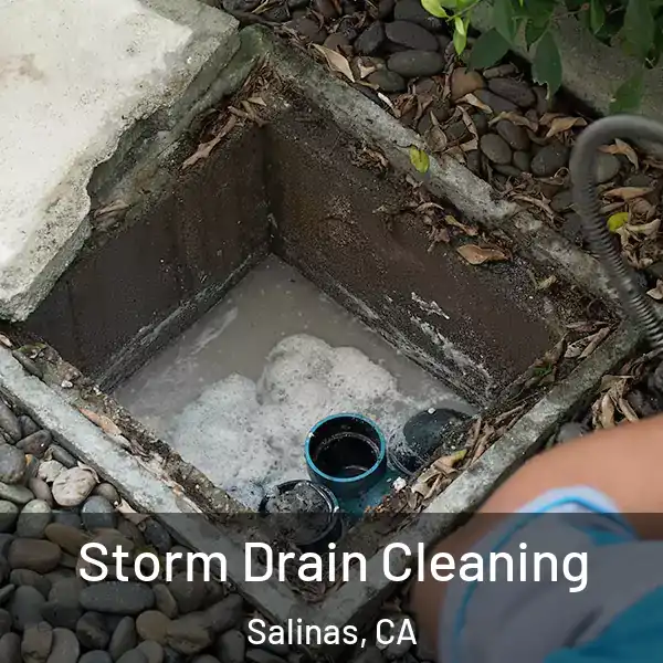 Storm Drain Cleaning Salinas, CA