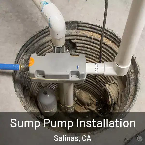  Sump Pump Installation Salinas, CA