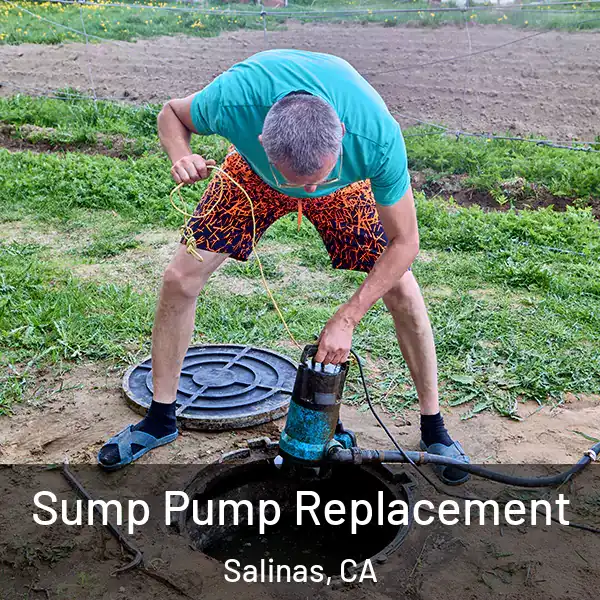  Sump Pump Replacement Salinas, CA
