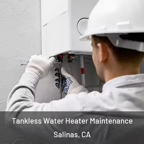  Tankless Water Heater Maintenance Salinas, CA