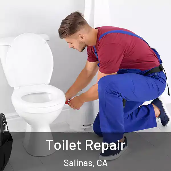  Toilet Repair Salinas, CA