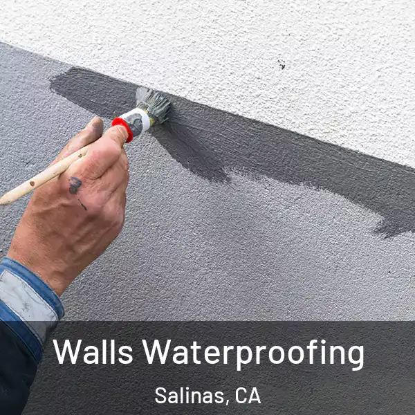  Walls Waterproofing Salinas, CA