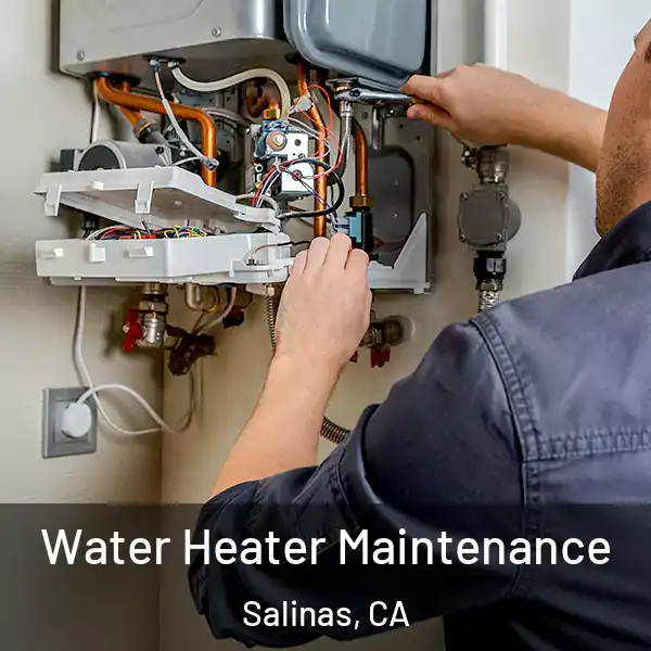 Water Heater Maintenance Salinas, CA